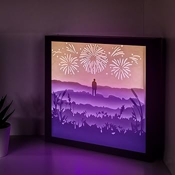 Amazon.com: BTS RM Wildflower Inspired Light Box - Gifts for